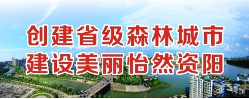 美女被大几把操一区创建省级森林城市 建设美丽怡然资阳